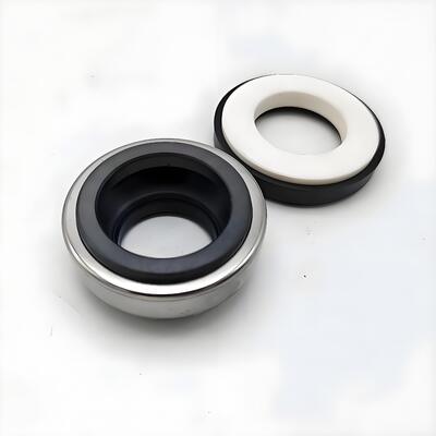 Mechanical Seal BT AR 301 for Pedrollo CK 50 CK 80E CK 90E Pumps CA CE V 304 11516101203