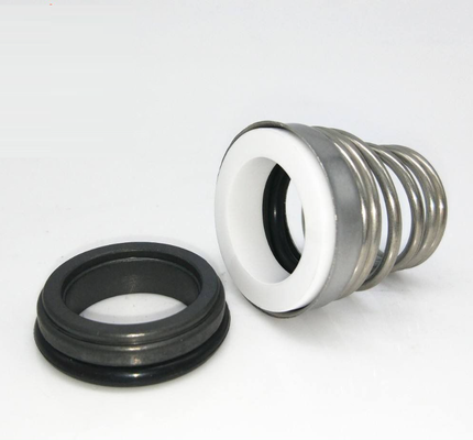 Mechanical Seal 155 Burgmann BT-FN Replace AESSEAL T04 And Roten 3 Seal