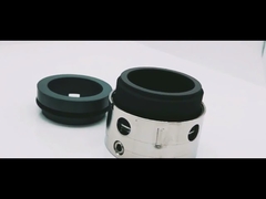 BP Standard Krans Mechanische Dichtungen 58B PTFE Rotationsdichtungen