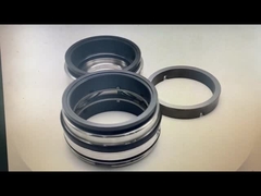 Fristam Seal GLRD FDS2 BCH-045 SIC-SIC-HNBR/C-TC-HNBR Für Fristam Fds Doppelschraubpumpe