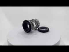 Gleichgewichte mechanische Dichtung aus Kautschuk CHL-16/B1SF4 CHL-20/B1SF4 für CNP CHL/CHLF-2-4-8-12-16-20 Ser