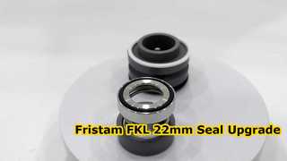 Erfahren Sie, warum Sie sich für die SIC SIC FKM-Gleitringdichtung 22 mm entscheiden sollten, die für die Fristam FKL-Pumpe geeignet ist