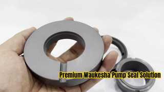 Ein genauerer Blick: Gleitringdichtung Dual Face AES W13U SiC/SiC, FKM für Waukesha-Pumpe